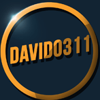 David0311